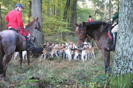 tl_files/jagdhorn/content/Bilder2011/2011.Okt.Fuchjagd mit Hundemeute.3.jpg