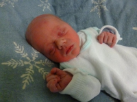 tl_files/jagdhorn/content/Bilder2013/2013.04.24_Flynn.png